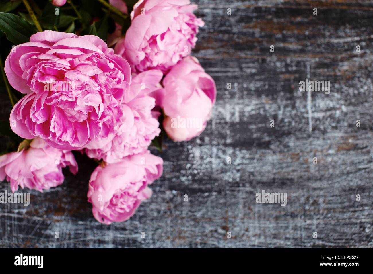 Fluffy bouquet of pink fresh peony flowers on scratched shabby dark wood, flat lay Stock Photo