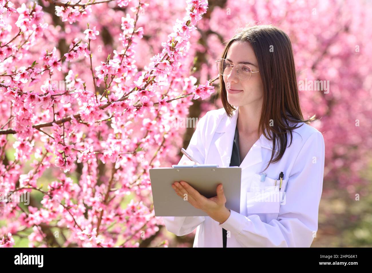Beautiful biologist checking flowers in a peach trees field Stock Photo