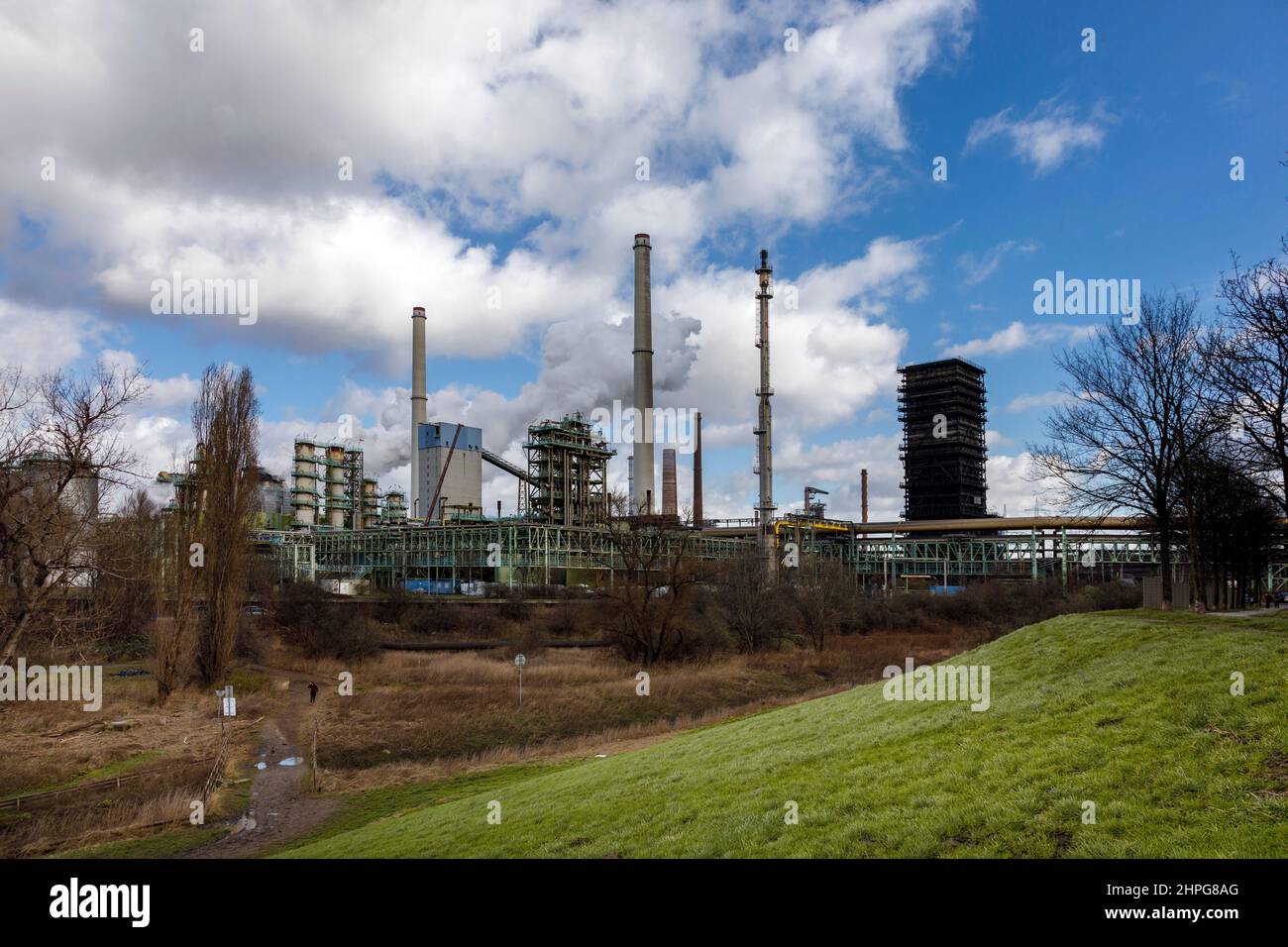 ThyssenKrupp Steel AG, Schwelgern coking plant on the Rheinauen meadows Stock Photo