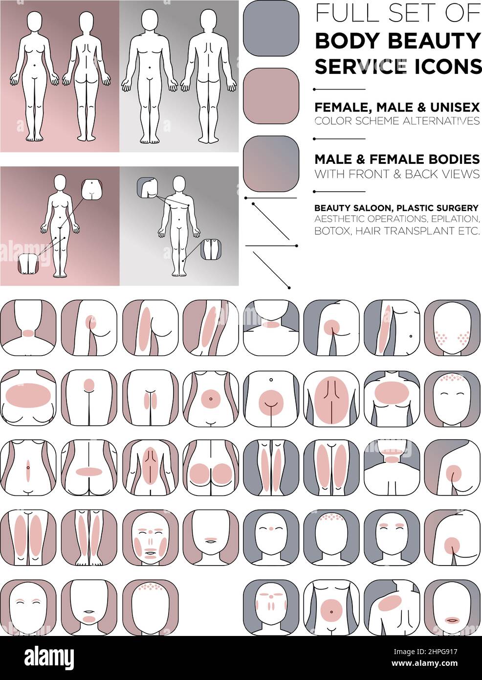Cartoon male and female body parts concept with front and back view ...