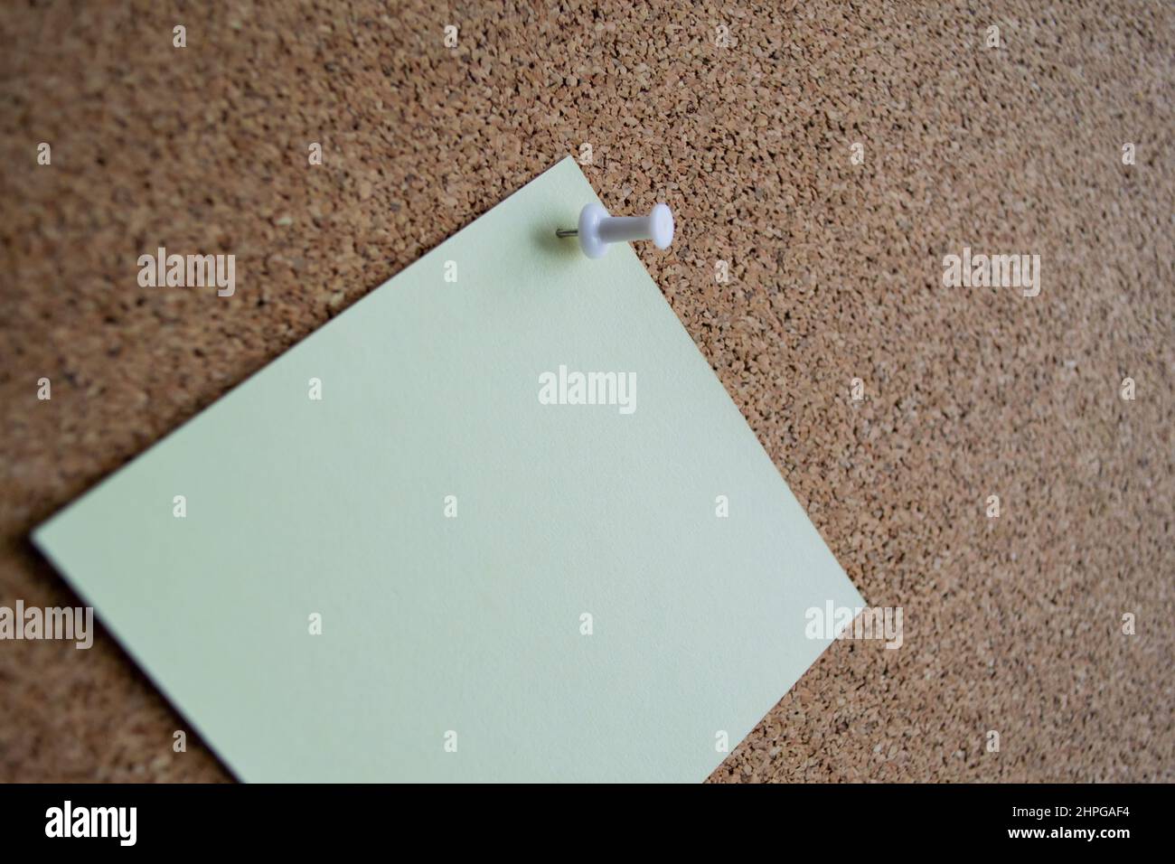 Close up of a green paper note on a cork Board, attached with a white pushpin. Copy space. Stock Photo