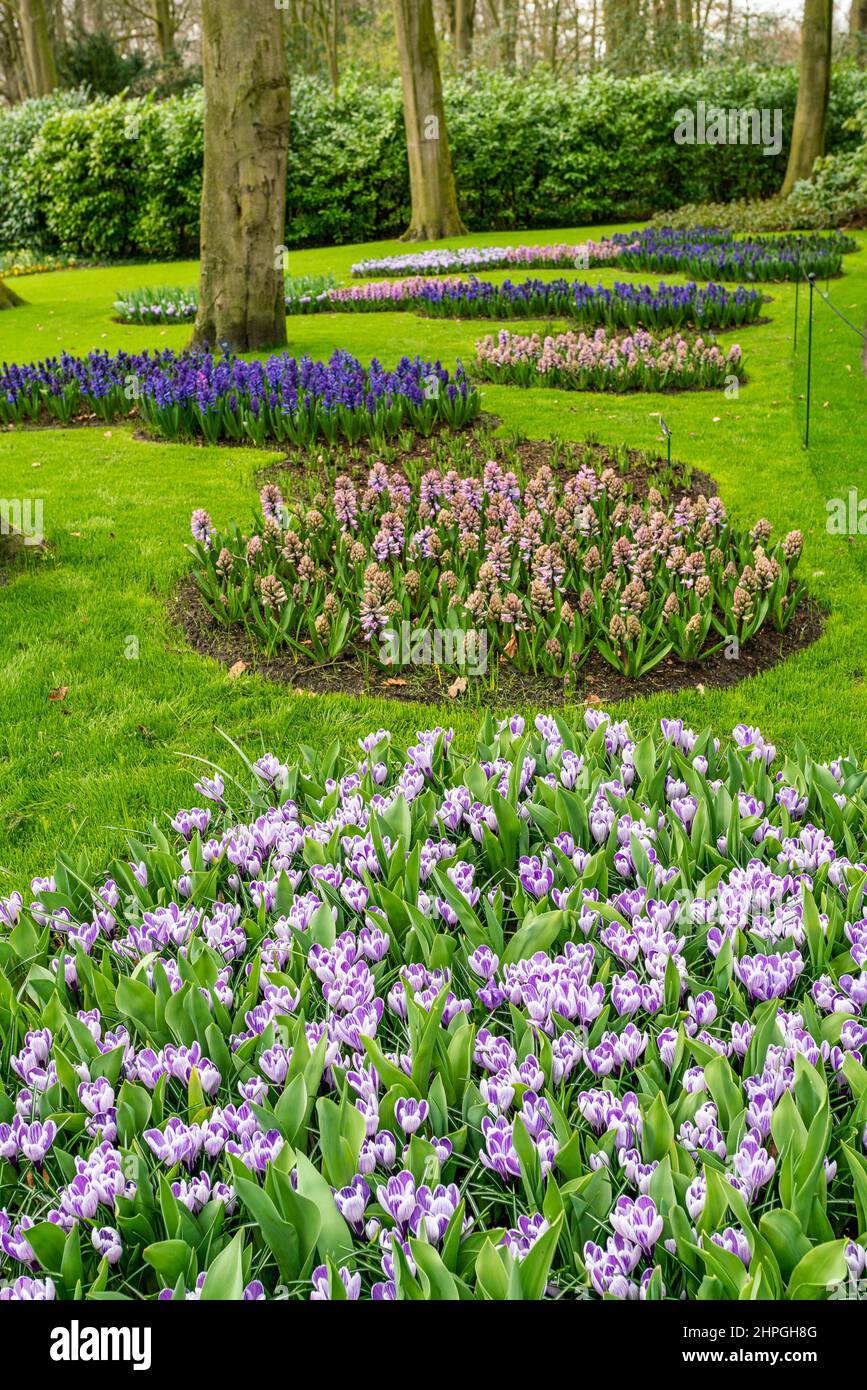 Colorful garden landscape and grassy lawn Stock Photo - Alamy