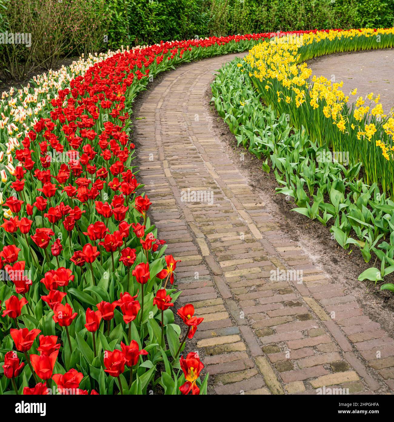 Colorful garden landscape and grassy lawn Stock Photo - Alamy