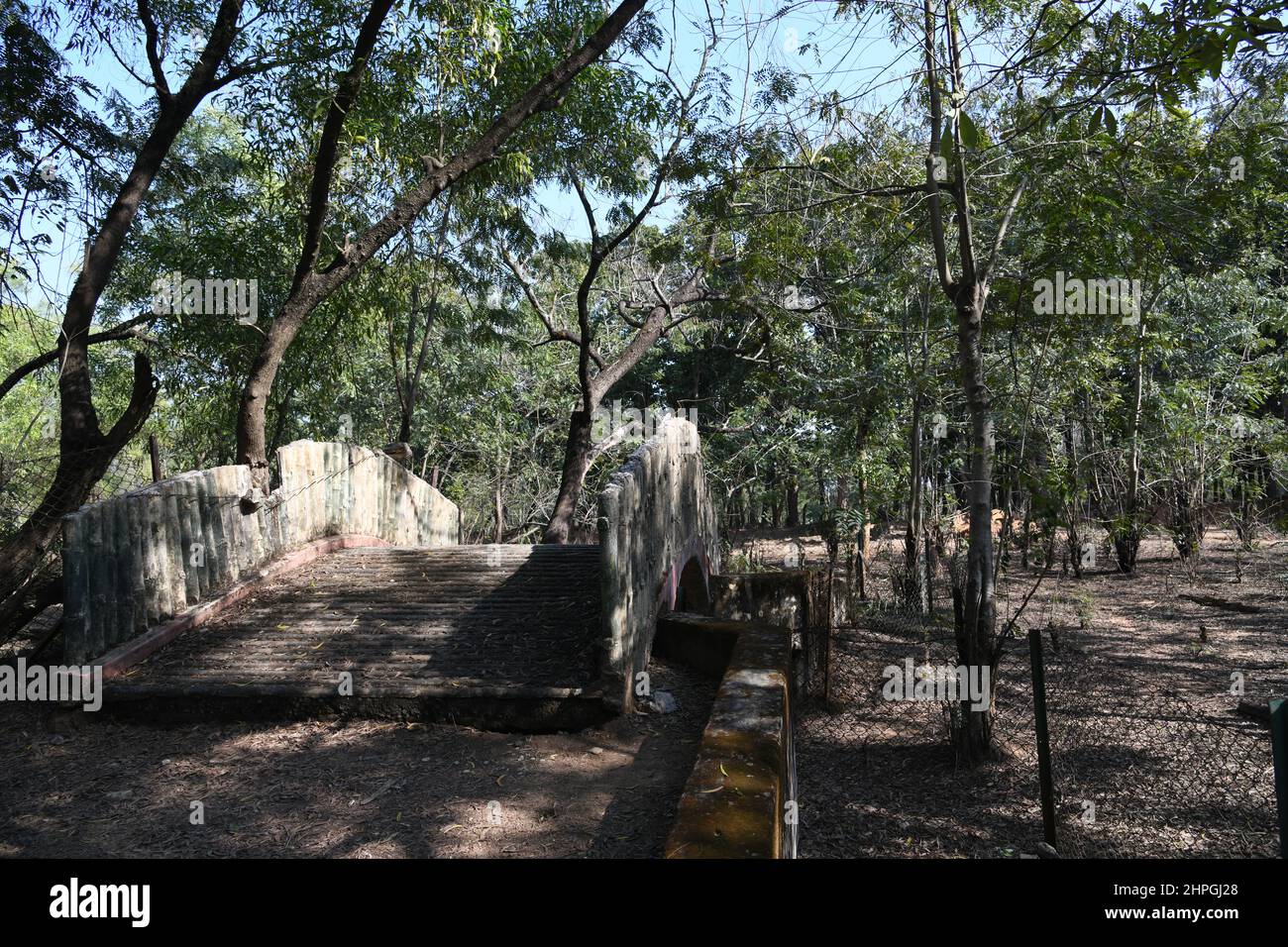 Footbridge of the Ballavpur Wildlife Sanctuary. Bolpur, Birbhum, West Bengal, India. Stock Photo