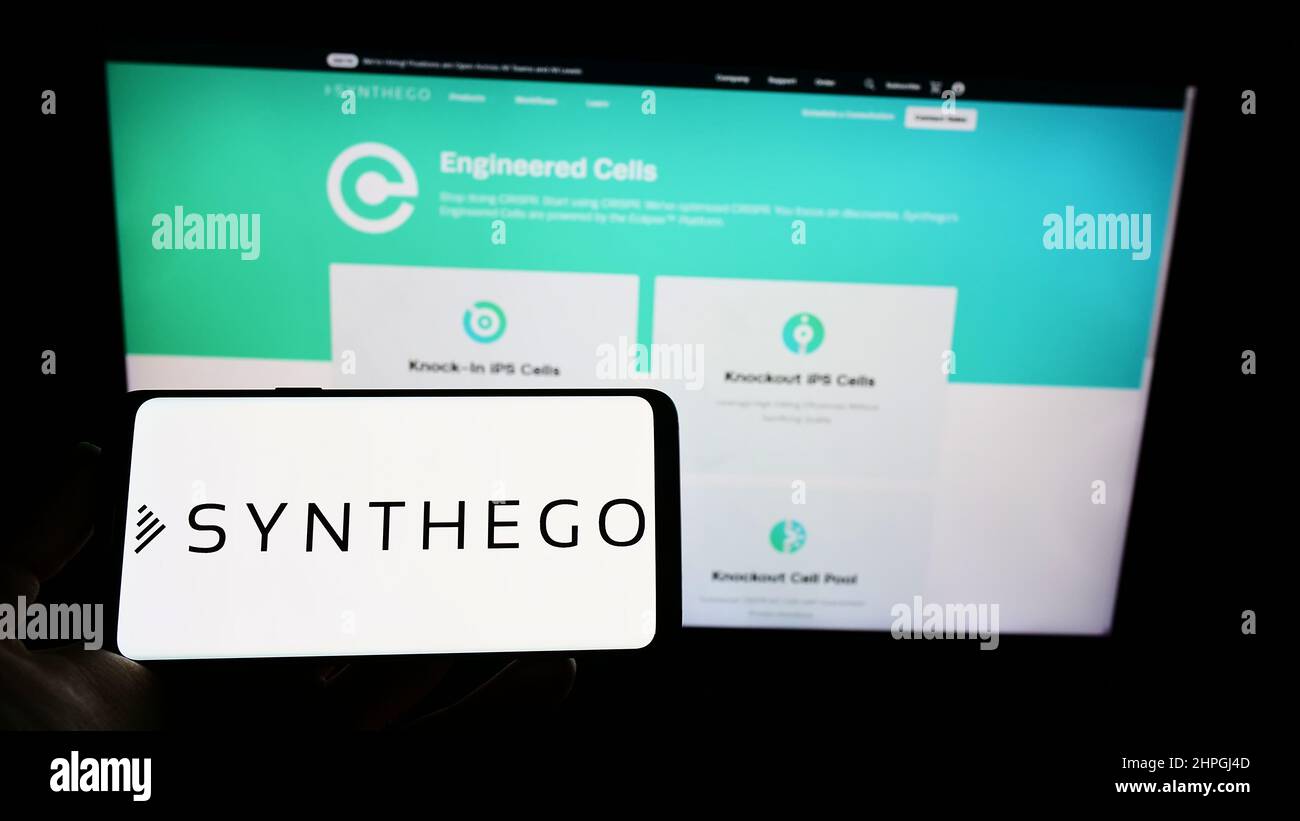 Person holding cellphone with logo of American biotechnology company Synthego Corporation on screen in front of webpage. Focus on phone display. Stock Photo
