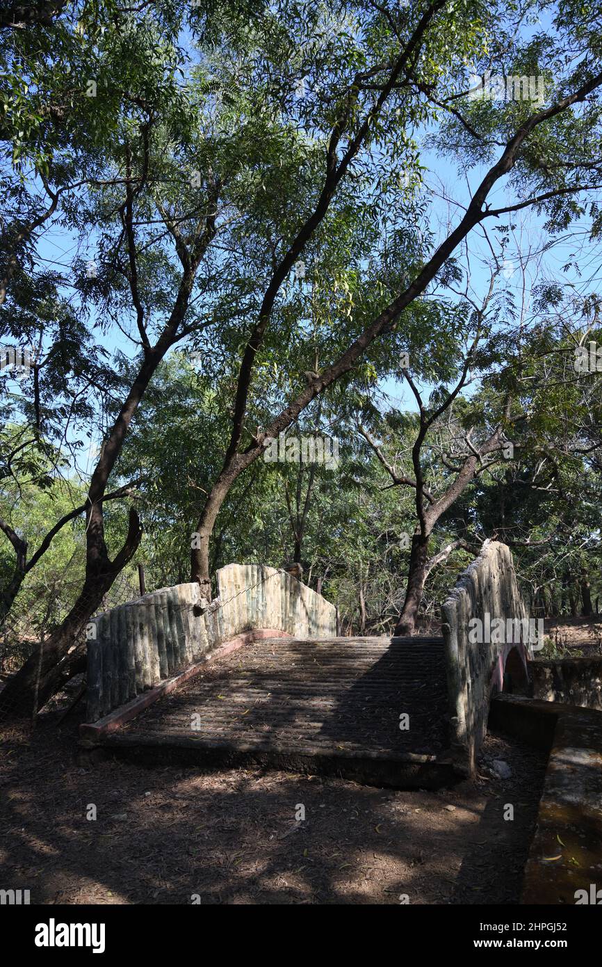 Footbridge of the Ballavpur Wildlife Sanctuary. Bolpur, Birbhum, West Bengal, India. Stock Photo