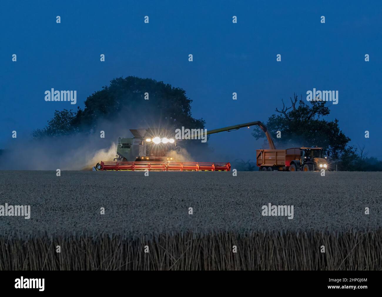 The Harvest is underway and continuing into the night. A Combine Harvester unloading grain into the adjacent tractor and trailer. Suffolk, Uk Stock Photo