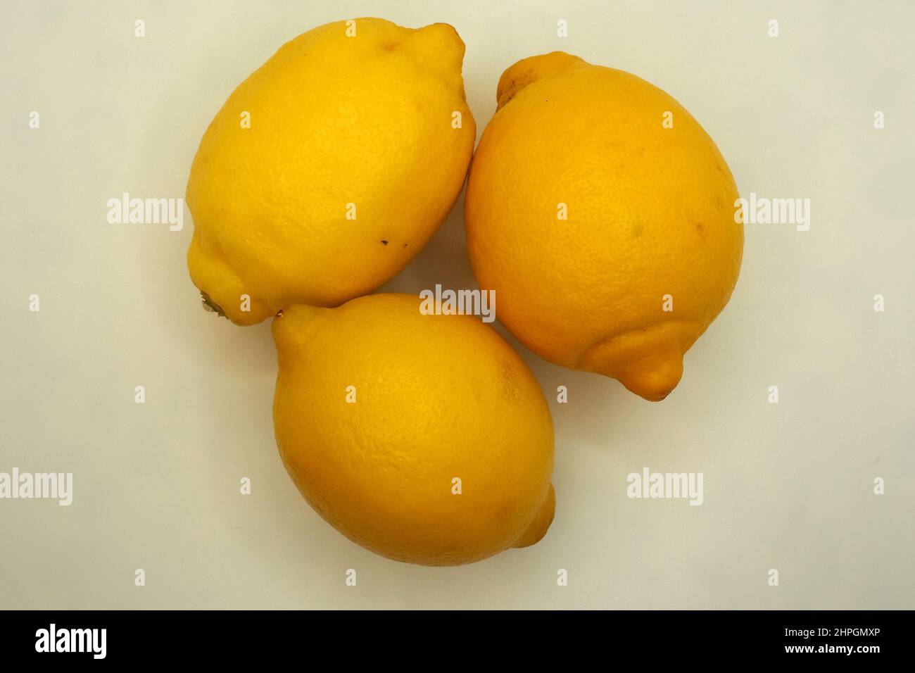 Lemon, Zitrone, Limone, Citrus limon, citrom, Europe Stock Photo - Alamy