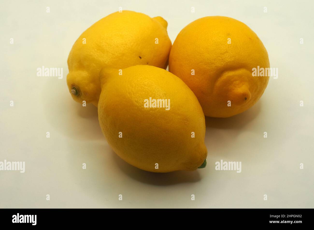 Lemon, Zitrone, Limone, Citrus limon, citrom, Europe Stock Photo - Alamy