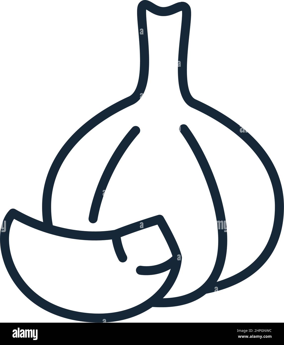 Stylish thin line garlic icon isolated on white background - Vector ...