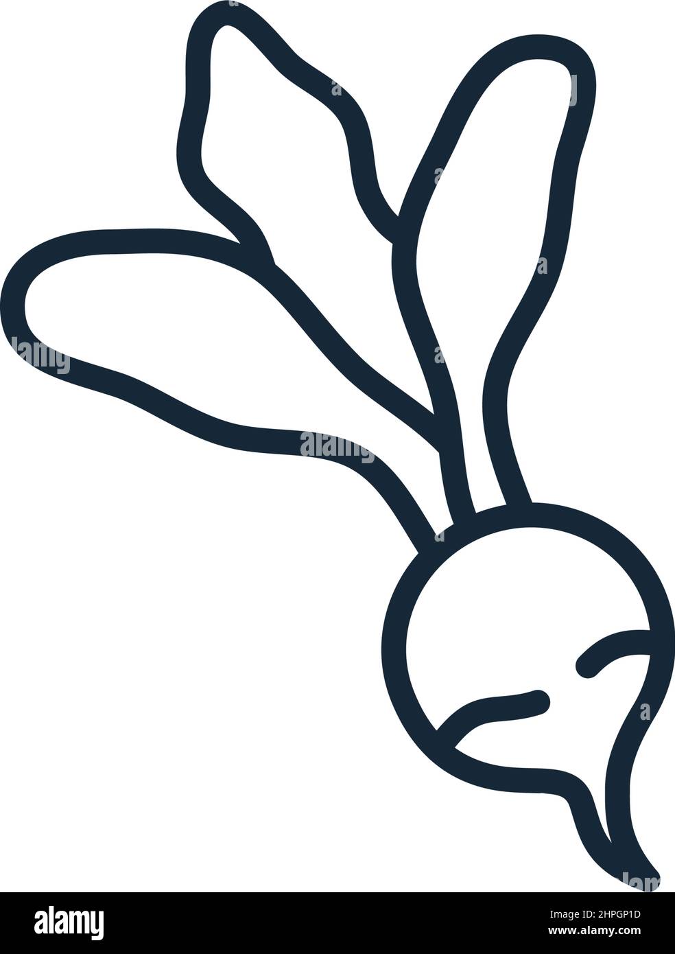 Stylish thin line icon of radish isolated on white background - Vector illustration Stock Vector