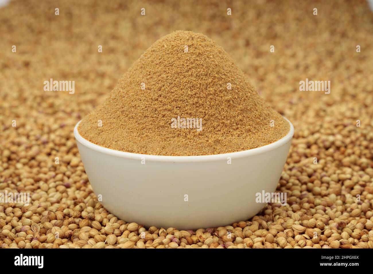 Coriander seeds with coriander powder ,indian spice ; main ingrediant