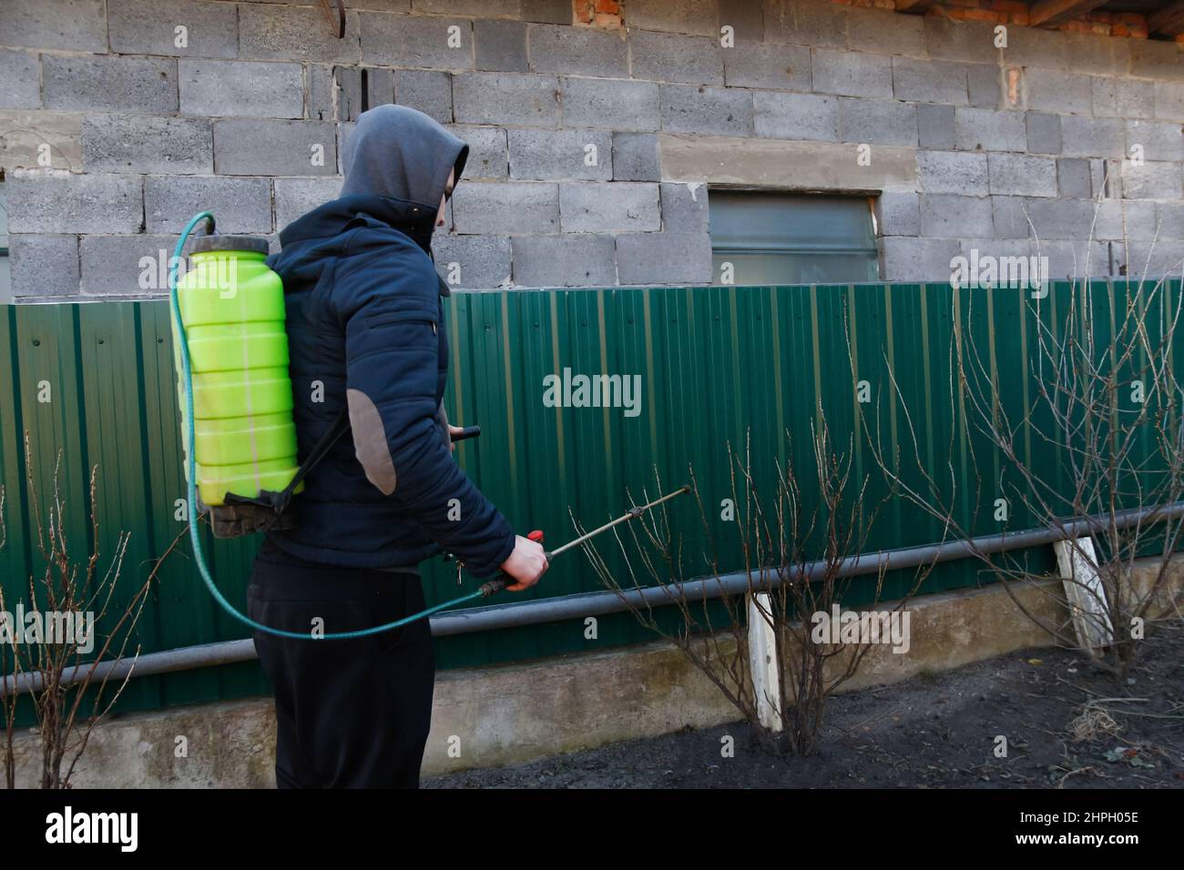 Spray pesticides, pesticide on bush. Defocus farmer man spraying tree
