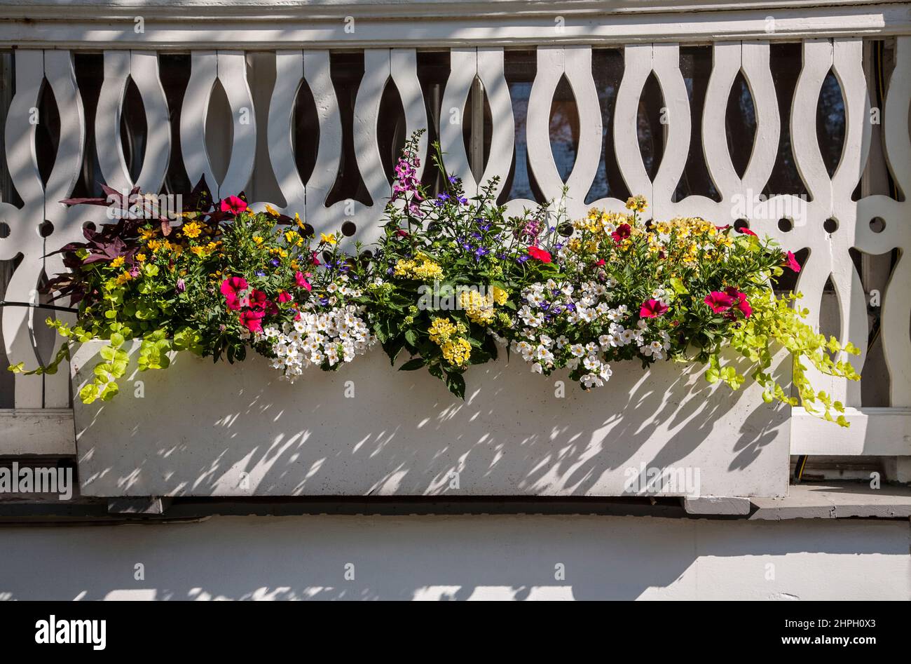 Planter box with flowers, Cape May, New Jersey, USA NJ US Stock Photo