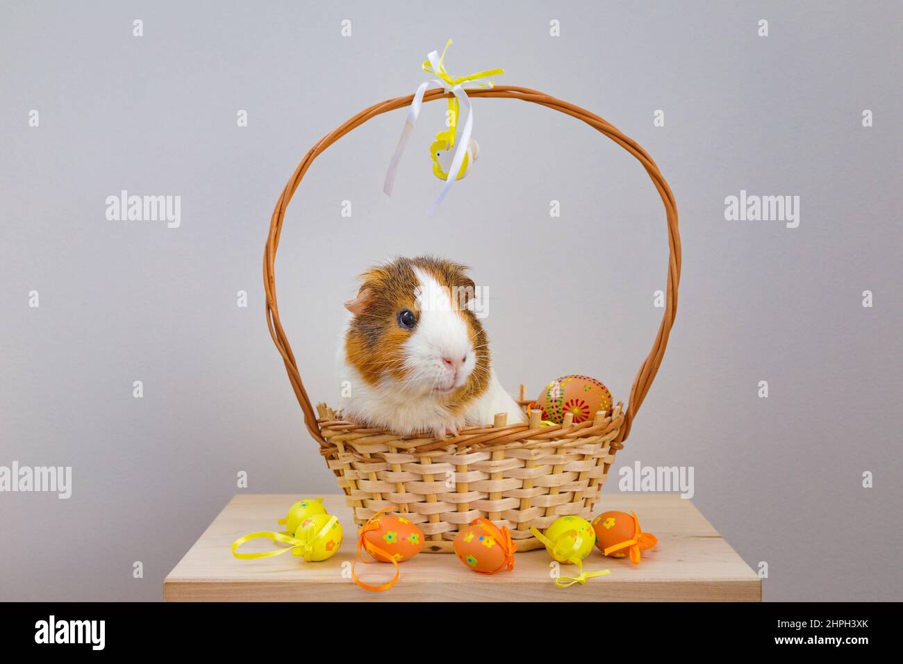 A closer look at Wicker Basket For Guinea Pig Home Decor Ideas