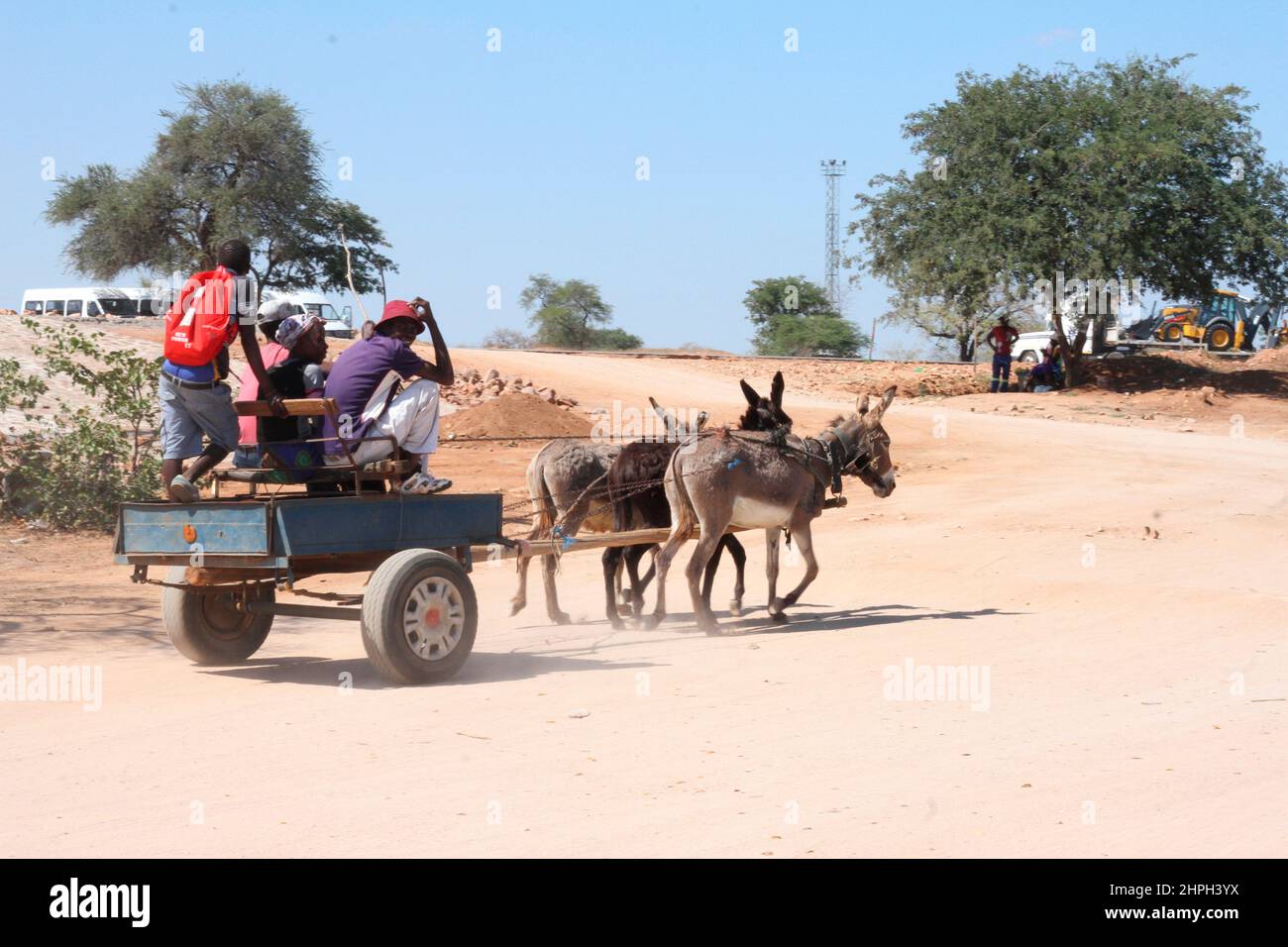 A scotchcart pulled by donkeys is seen in the border town of Beitbridge