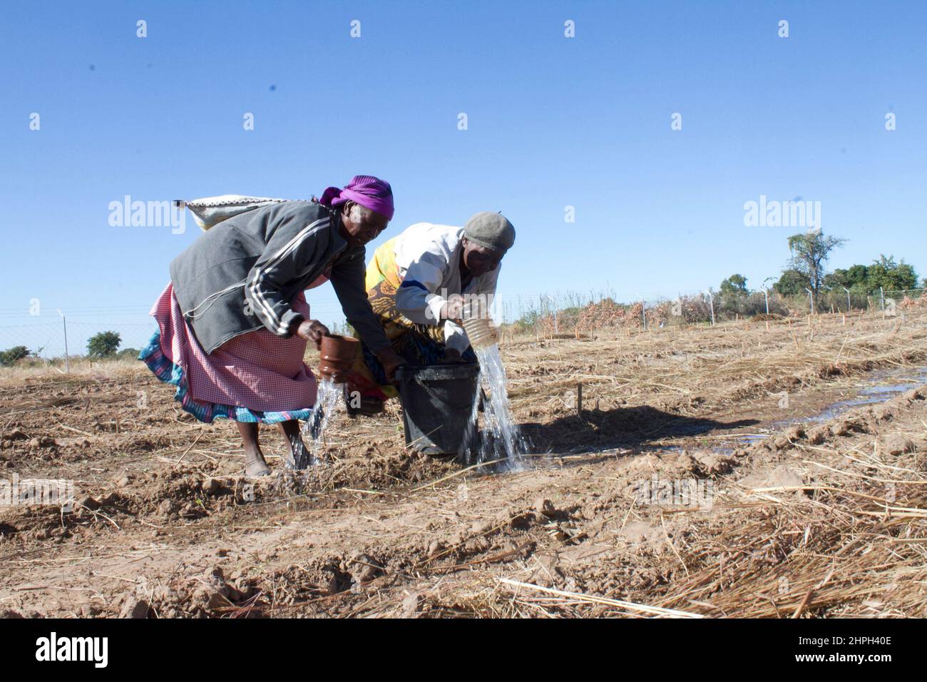 Women are seen watering their gardens in Gokwe. They get the water from a nearby dam. Zimbabwe. Stock Photo