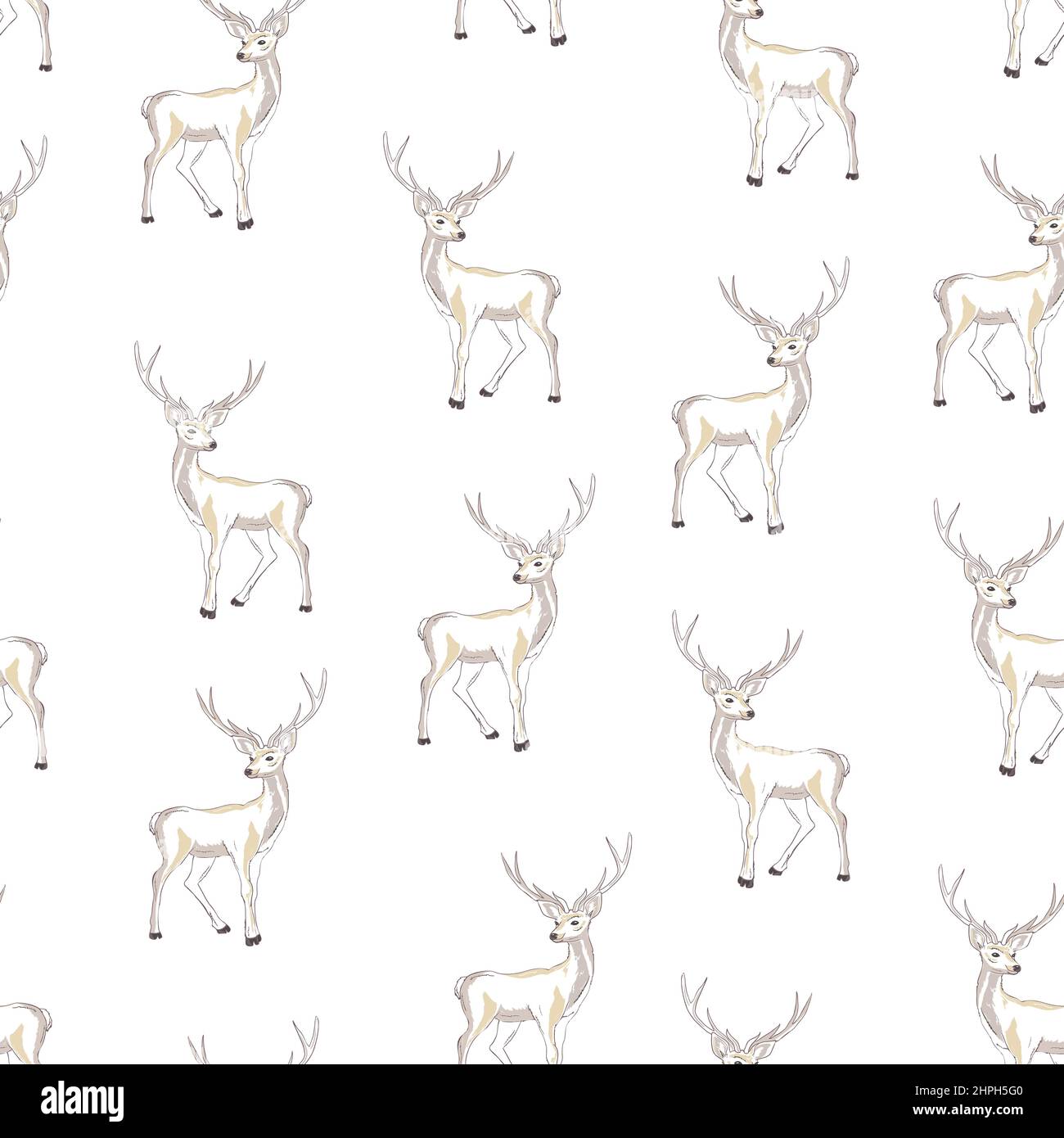 Seamless pattern with christmas deer. Vector seamless pattern with deer ...