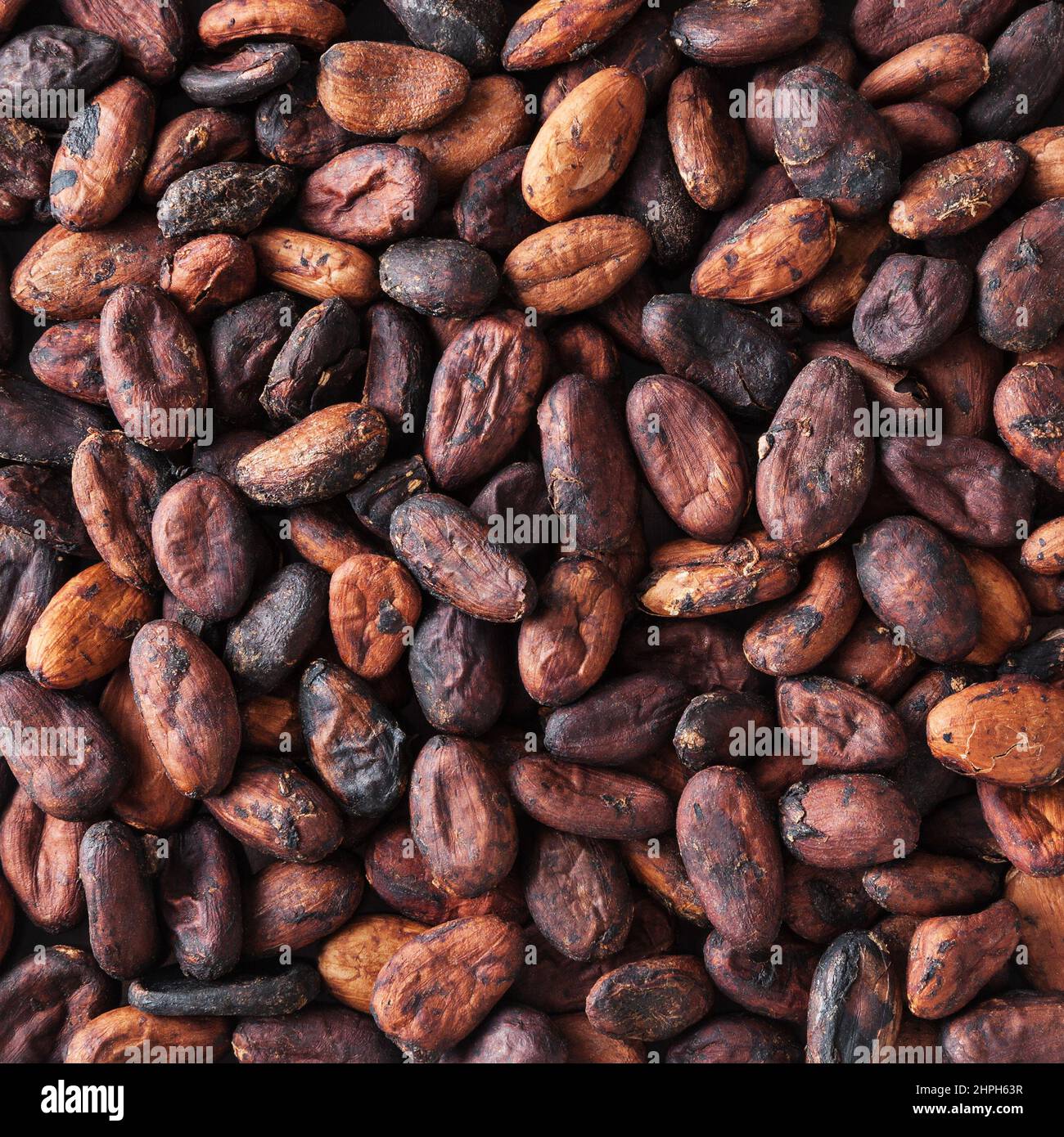 Uncooked cacao beans background Stock Photo