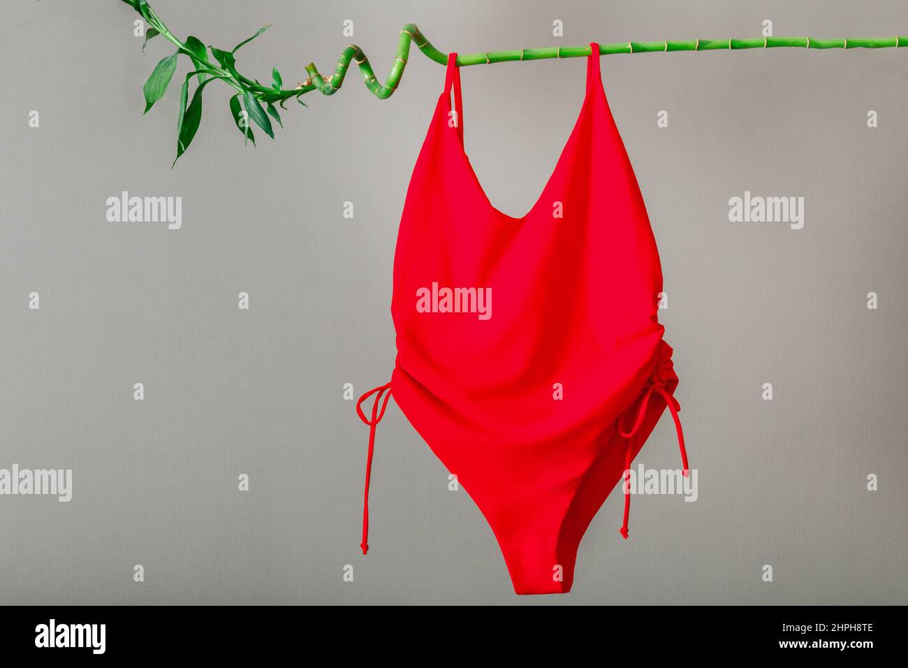 Red Women swimsuit Hanging on green bamboo plant branch. Beach accessories on Gray background. Summer clothes Travel Eco concept. Female Swimsuit with Stock Photo