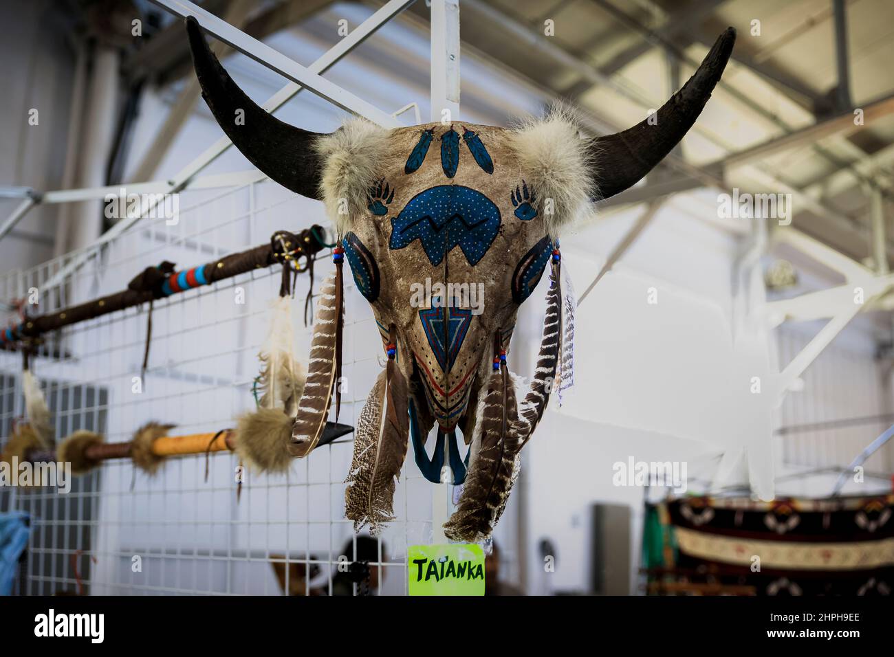 Native American Indian regalia, bison or tatanka skull decorated with painted symbols and feathers on display for sale at a powwow, San Francisco Stock Photo
