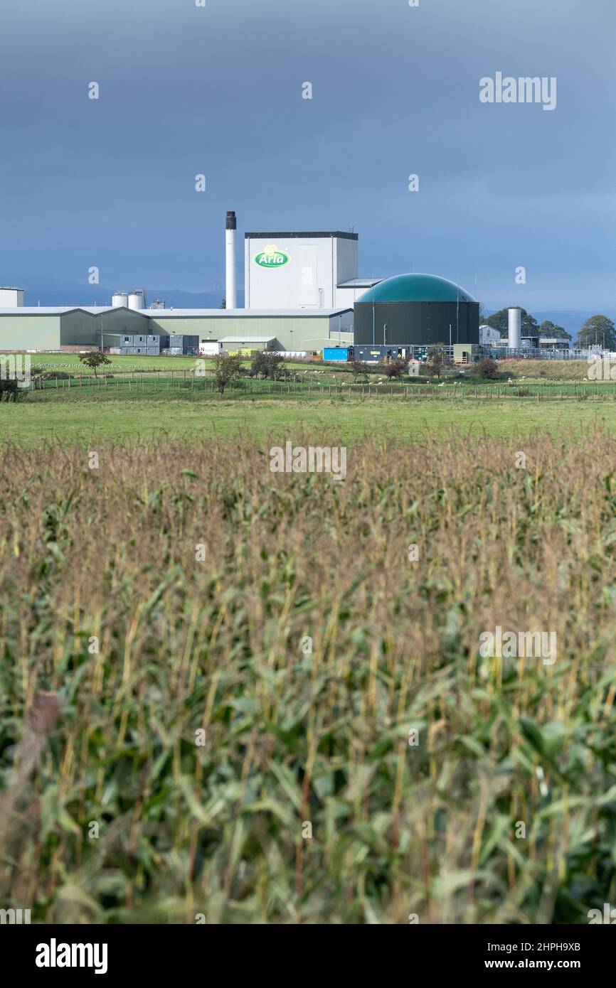 Arla milk processing plant near Lockerbie in Dumfries and Galloway, Scotland, UK. Stock Photo