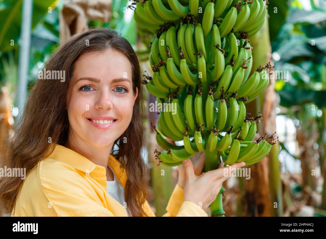 Happy smiling Woman farmer agronomist grow checks bunch of growing bananas fruits harvest from young palm trees against plantation, tropical garden Stock Photo