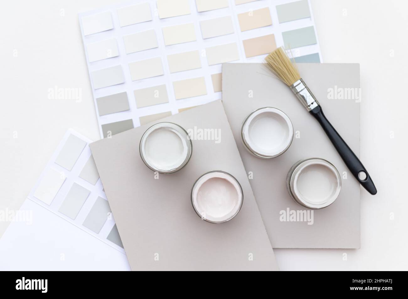Choosing wall paints Stock Photo Alamy