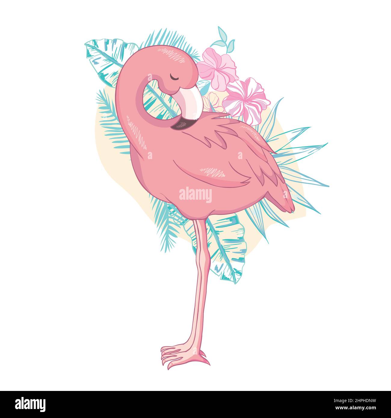 Flamingo bird illustration design isolated on white background Stock ...