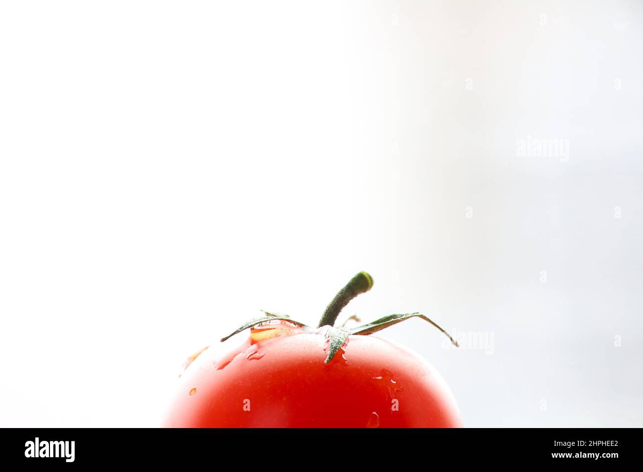 Fresh ripened red tomato in front of bright blurred background. Side view. Stock Photo