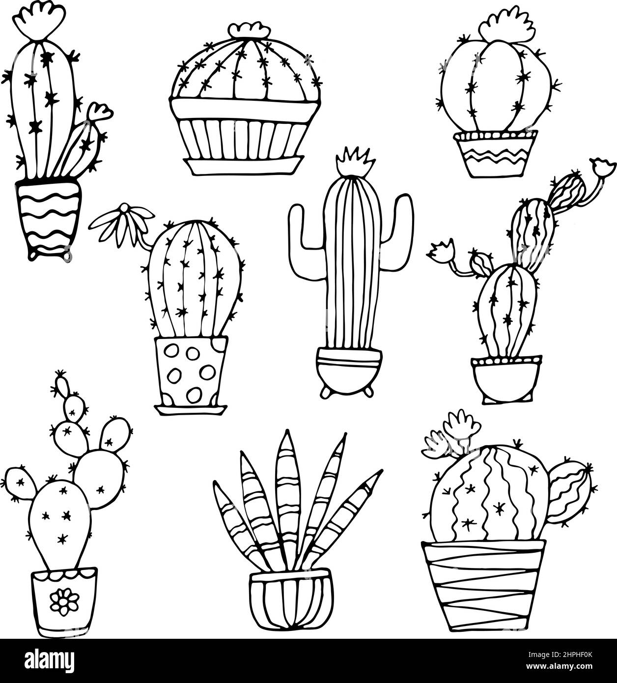 Doodle cacti on white Stock Vector Image & Art - Alamy