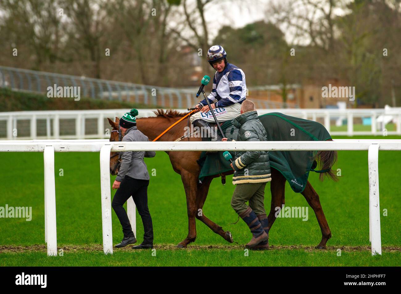 Good risk it all horse hi-res stock photography and images - Alamy