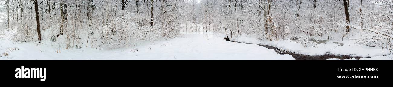 Panorama of winter forest and blue beautiful sky Stock Photo - Alamy