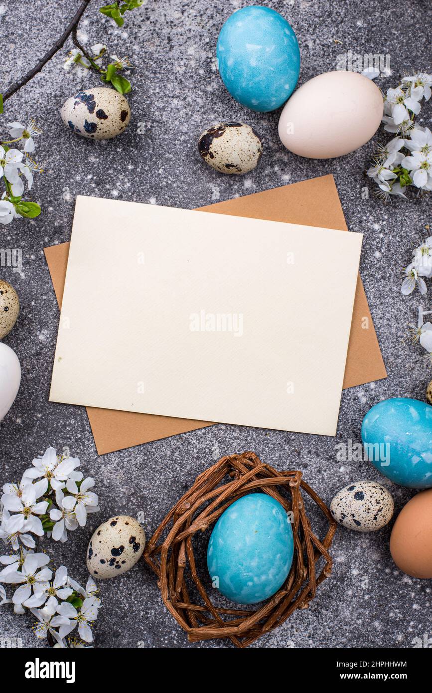 Easter eggs and empty card Stock Photo