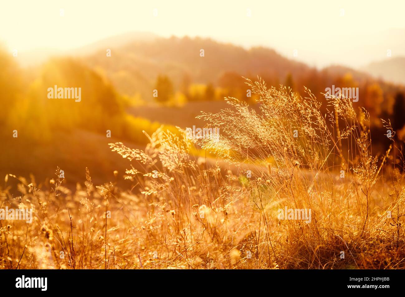 Vivid warm filter hi-res stock photography and images - Alamy