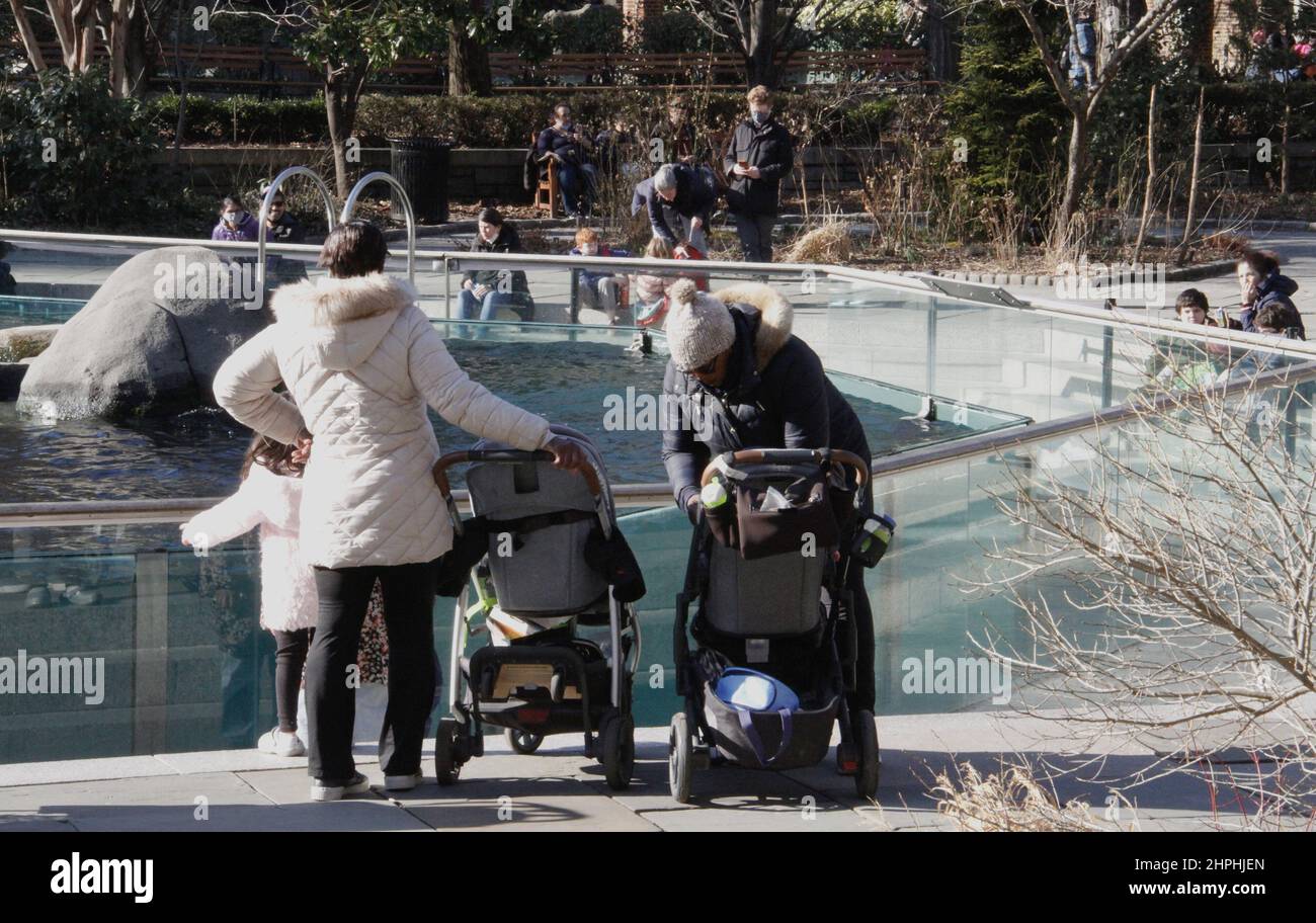 New York, USA. 21st Feb, 2022. (NEW) Central Park Zoo Tickets sold out on PresidentÃ¢â‚¬â„¢s Day Holiday. February 21, 2022, New York, USA : New Yorkers and tourists used the PresidentÃ¢â‚¬â„¢s Day holiday visiting the Central Park zoo with their families and loved ones and as a result, the tickets were already sold out as early as 3pm. To enter the zoo, masks and proof of vaccination are required for everyone. The good weather also contributes to the mass visit to the zoo.Credit: Niyi Fote /Thenews2 (Credit Image: © Niyi Fote/TheNEWS2 via ZUMA Press Wire) Stock Photo