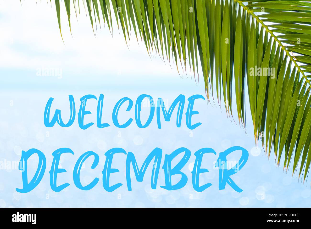 Welcome December Greeting Card Stock Photo Alamy