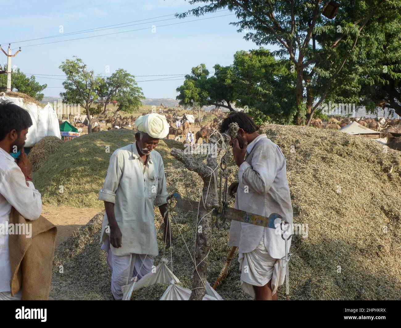 camelfair in Pushkar, Rajastan, India Stock Photo