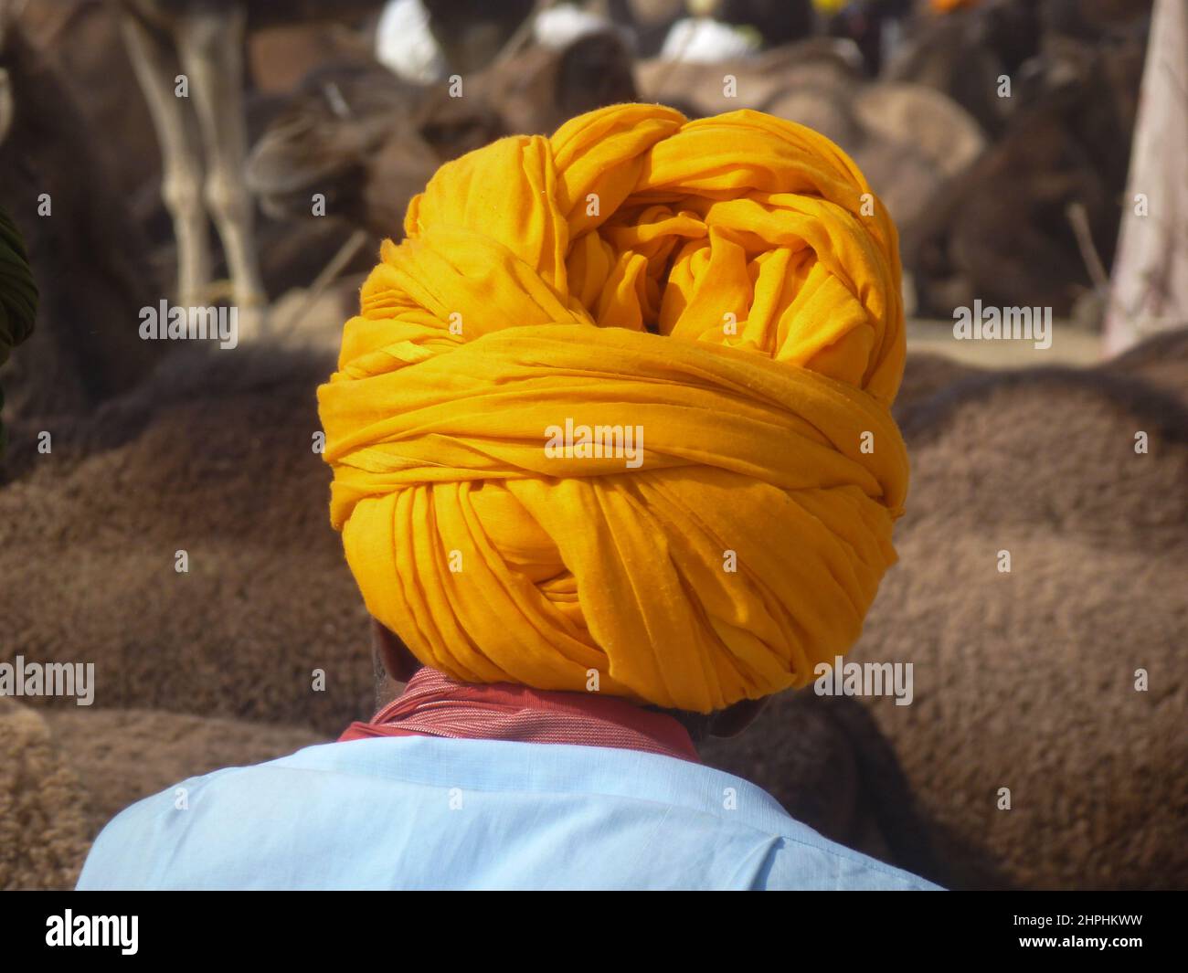 portrait of man with turban at camelfair in Pushkar, Rajasthan, Indi Stock Photo