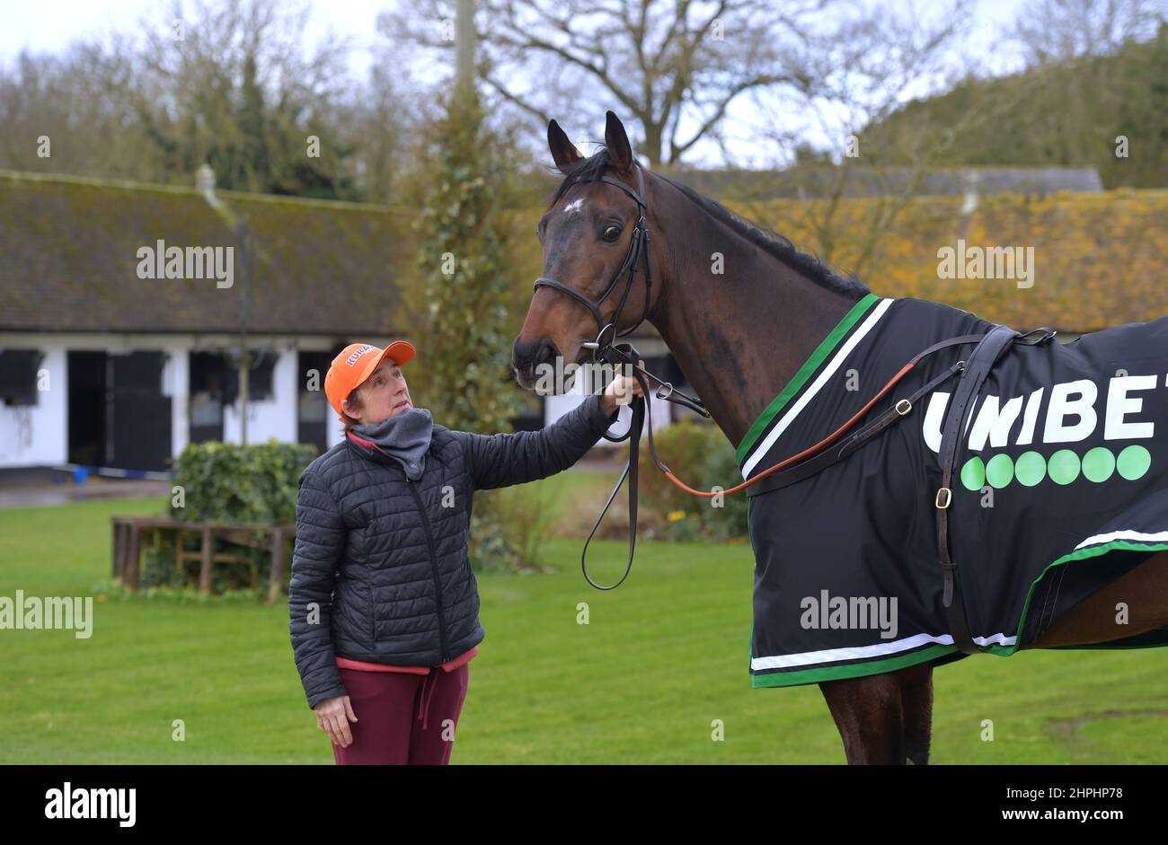 Constitution hill horse cheltenham hires stock photography and images