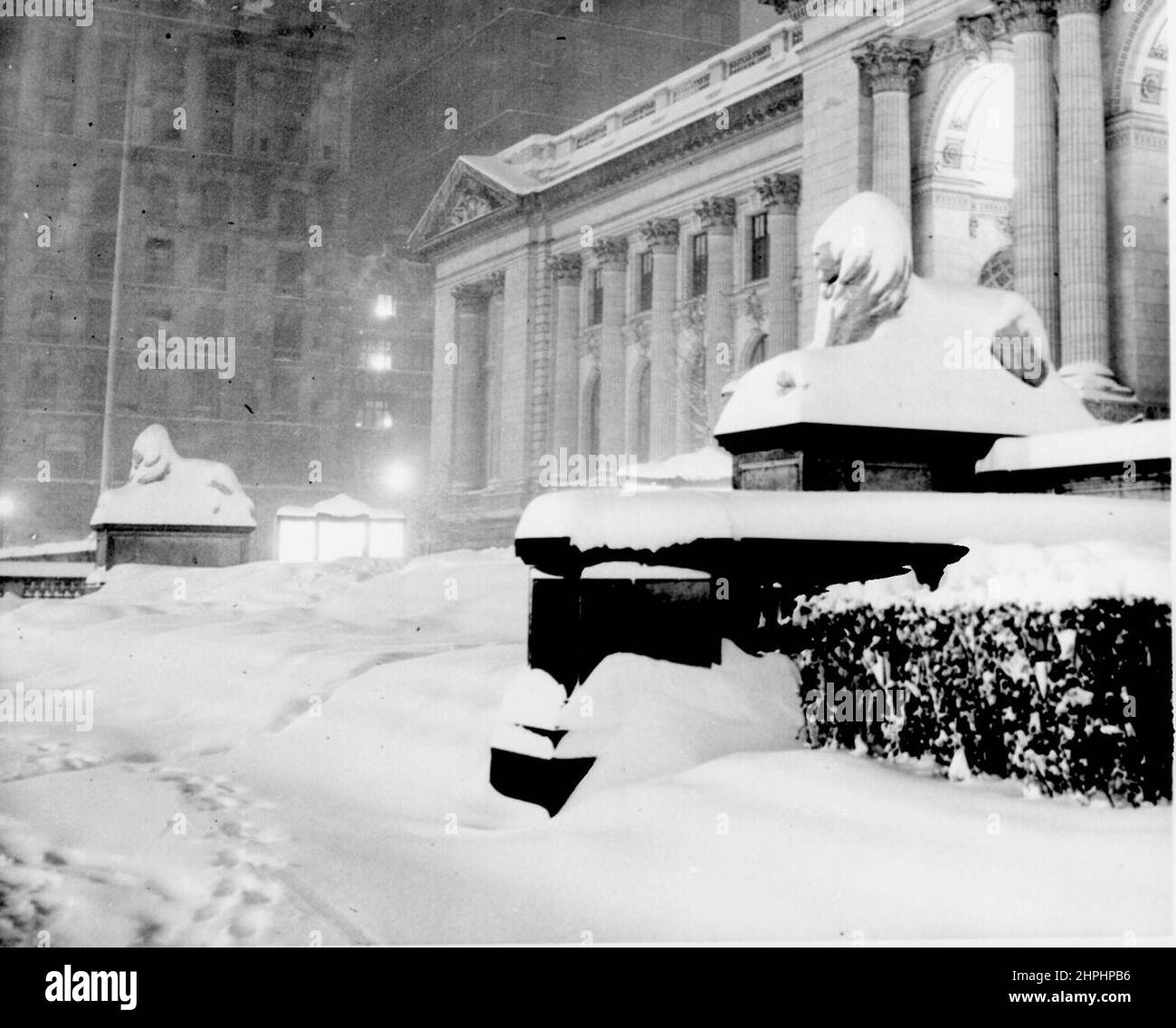 The lion statues at the New York Public Library, with a mantle of snow during the record December 1948 snowfall. ca.  December 1948 Stock Photo