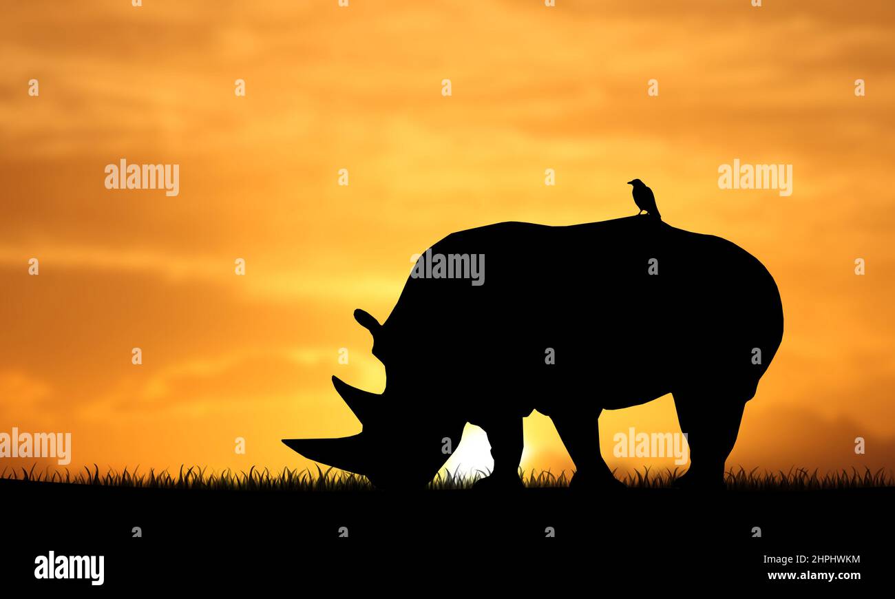 African animal silhouette hi-res stock photography and images - Alamy