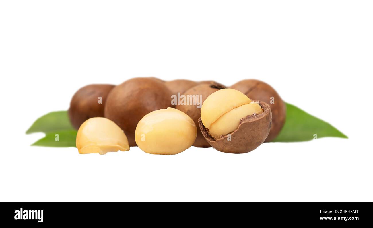 Several macadamia nuts with leaves isolated on white background Stock Photo