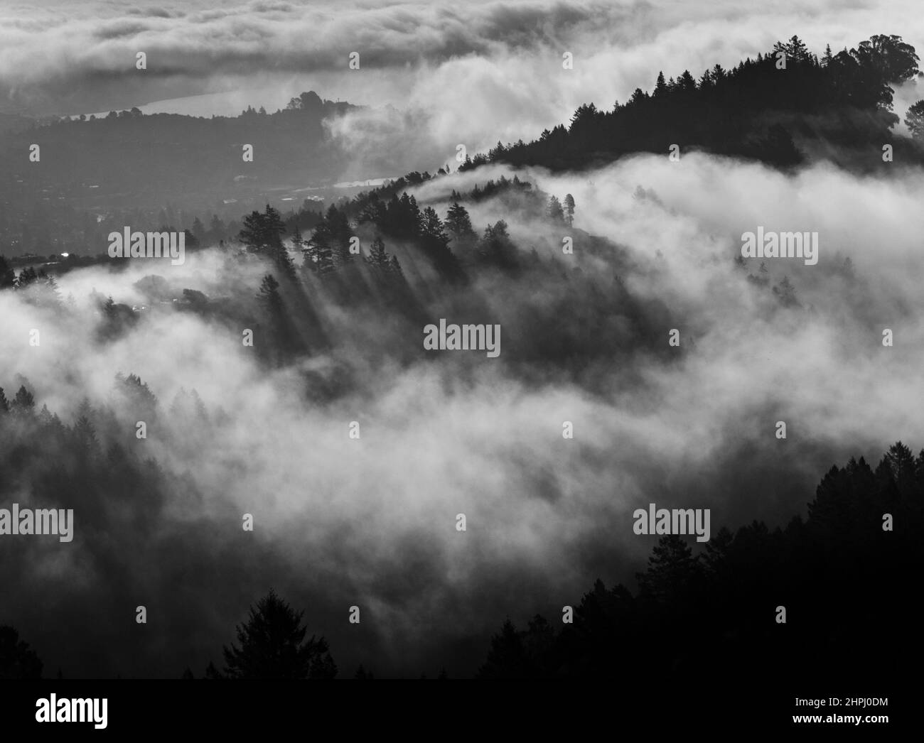 Clouds and fog on Mount Tamalpais, Marin County, CA Stock Photo