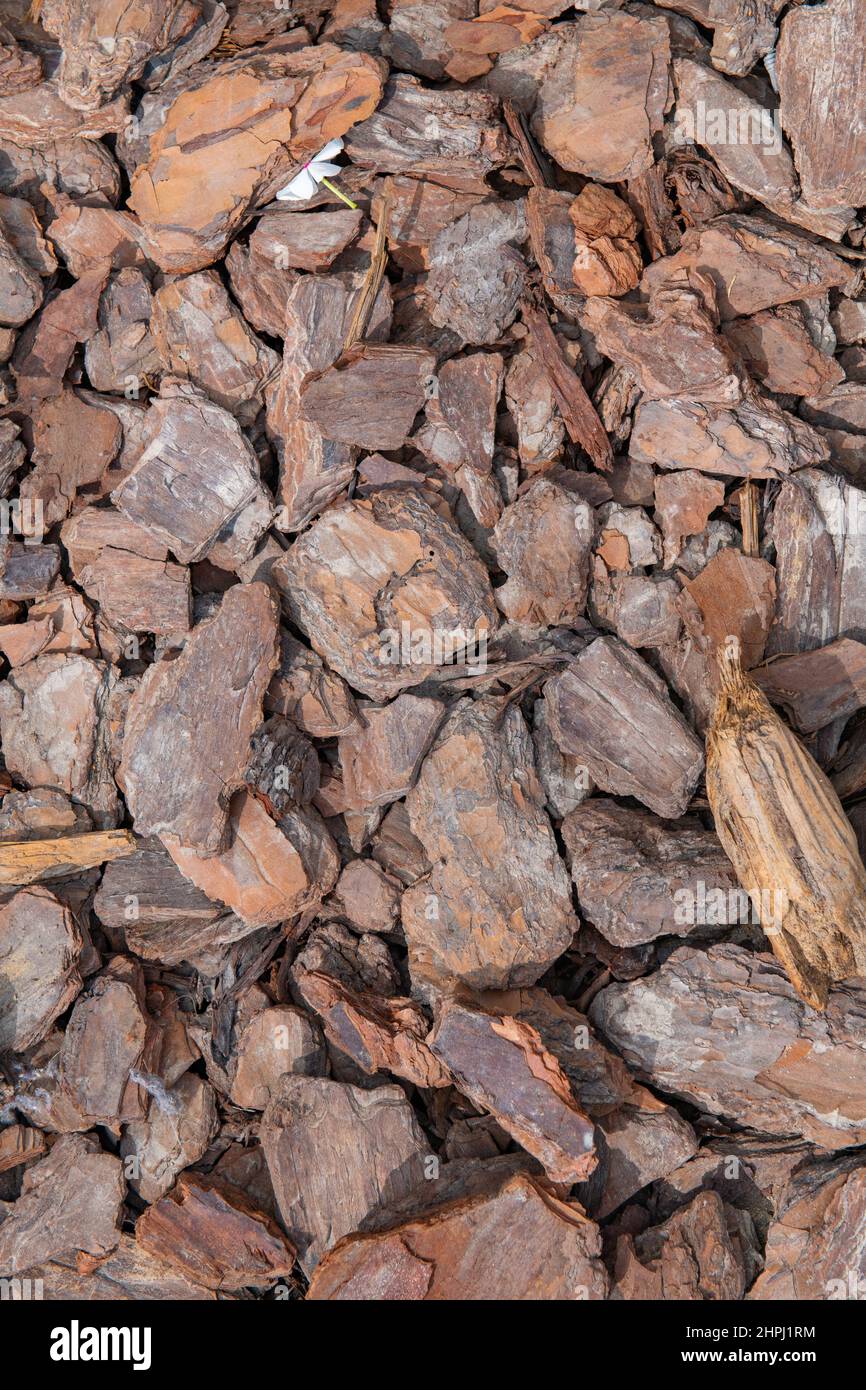 the texture of wood chips is very beautiful Stock Photo Alamy