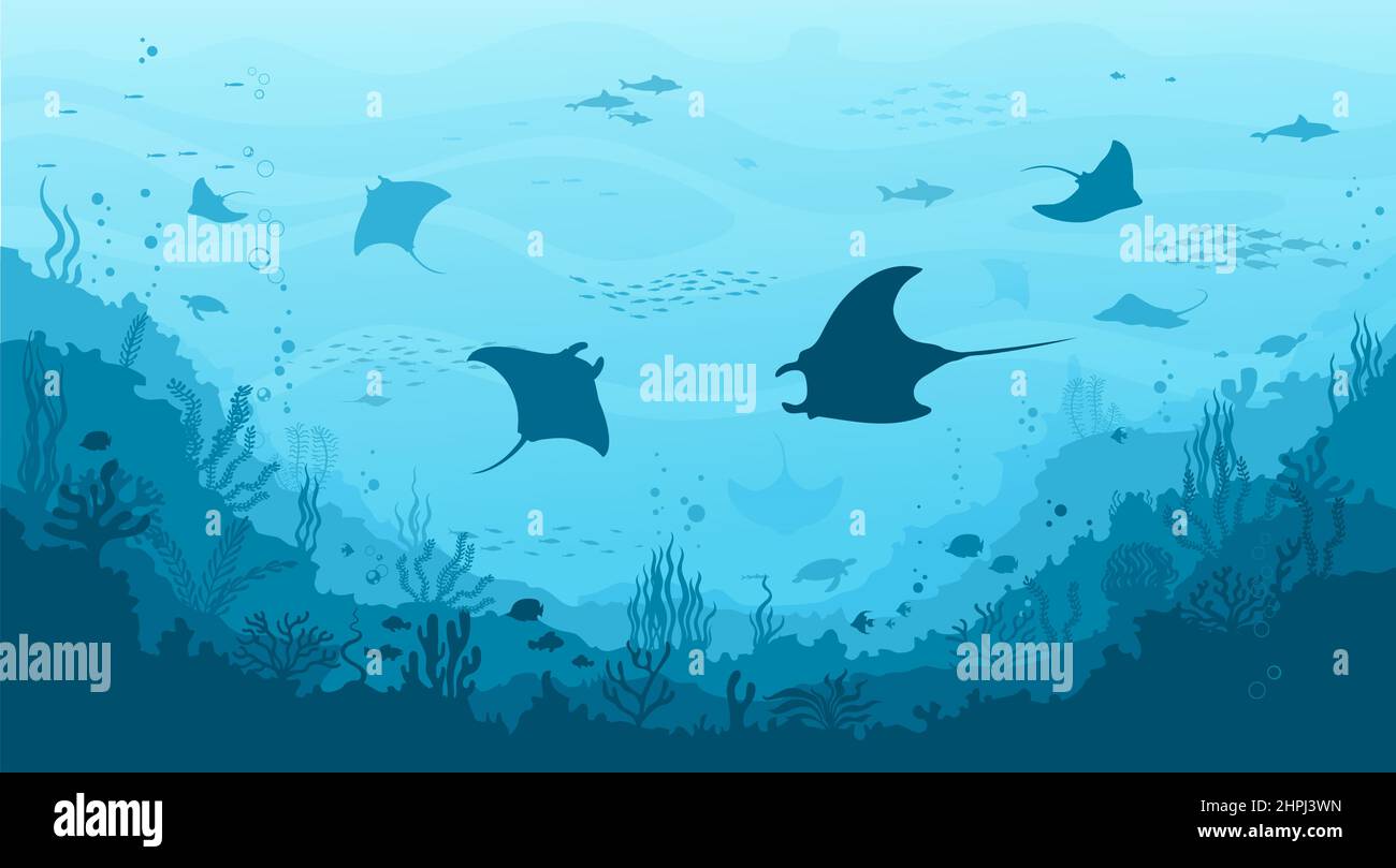 Manta ray and stingray, seaweed and reef underwater landscape. Sea ... Biology Diagrams