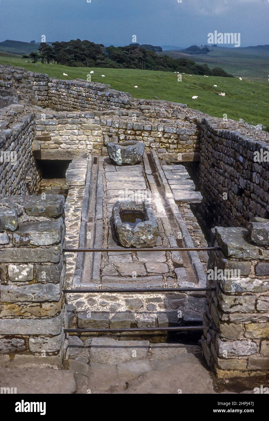 Roman soldiers' washroom at Housesteads, one of 15 forts along Hadrians Wall, England Stock Photo