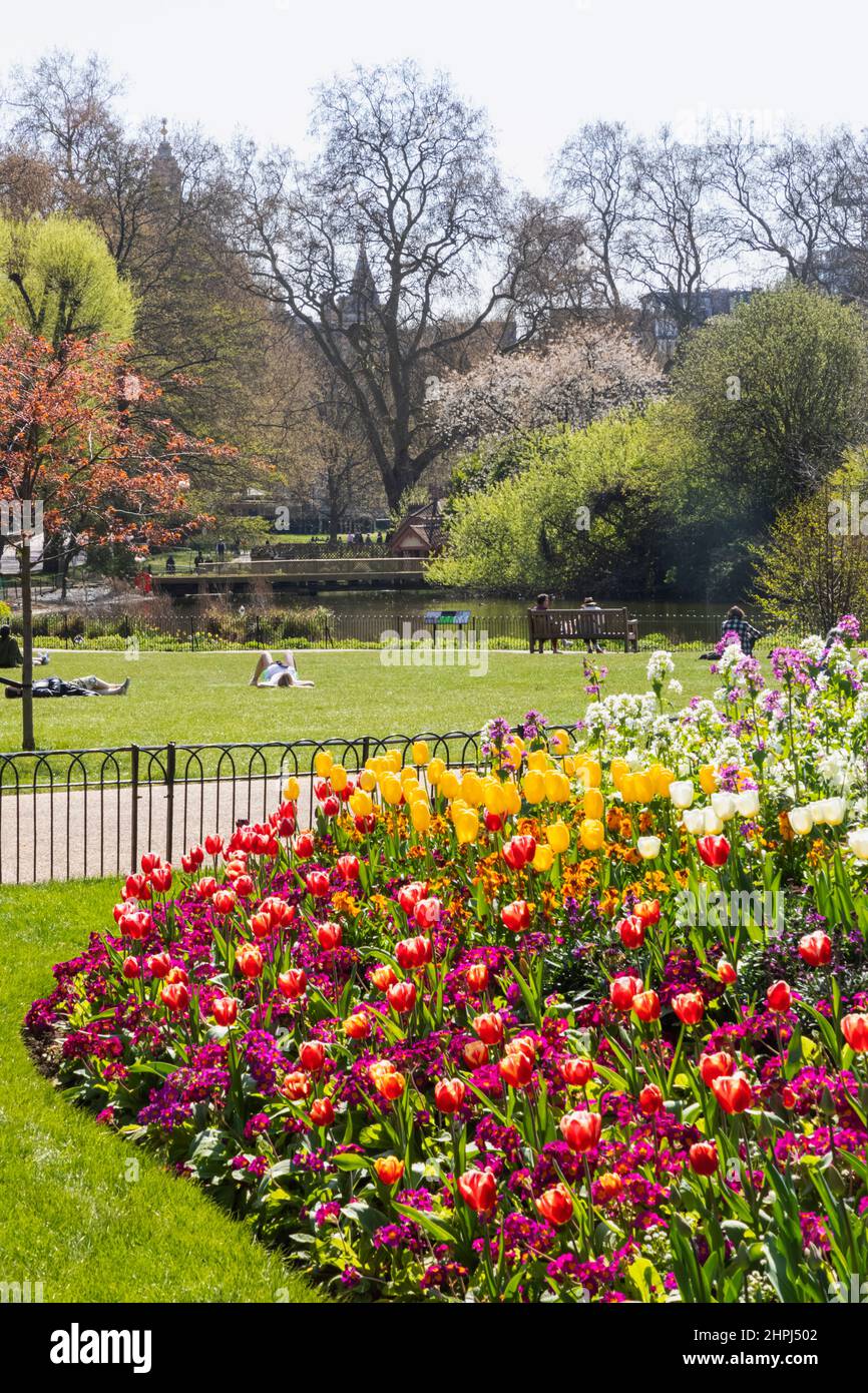 English summer flower hi-res stock photography and images - Alamy