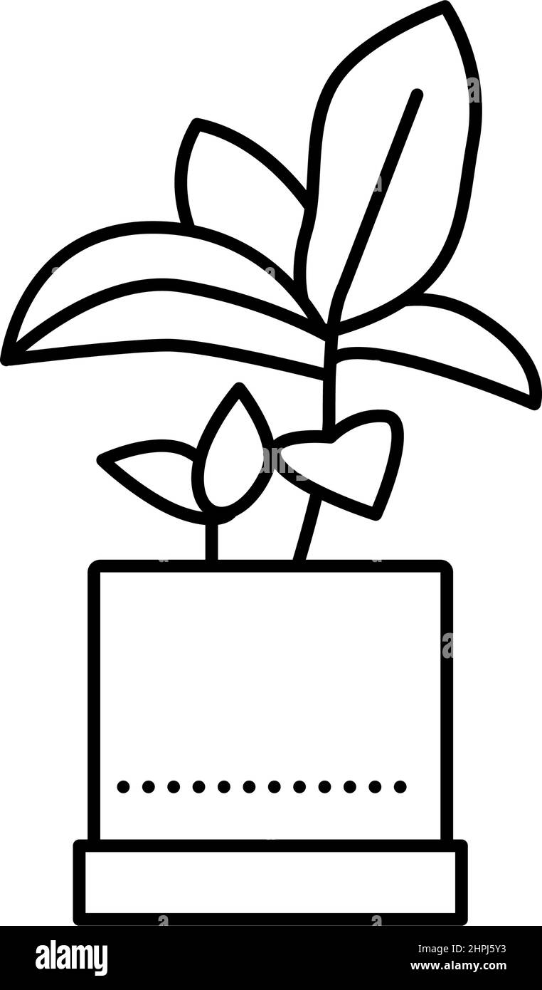 green leaves houseplant in pot line icon vector illustration Stock ...