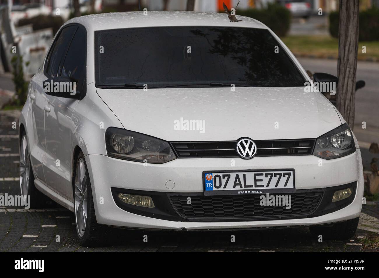 polo tdi 2022